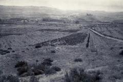 Vista desde la dehesa