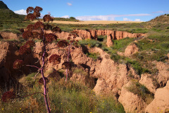 Barranco-Rojo-02