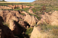 Barranco-Rojo-03