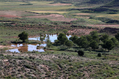 Charcas-en-la-cantera