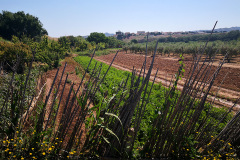 Huerta-de-Botorrita_01
