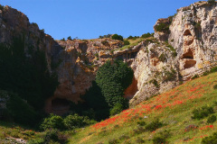 Paraje-La-Hiedra-2