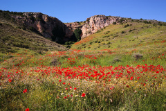 Paraje-La-Hiedra-3