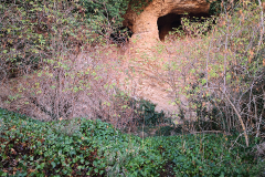 Paraje-La-Hiedra-8