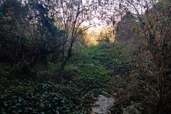 Paraje-La-Hiedra-9