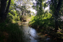 Rio-Huerva_02