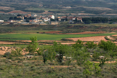Vista-desde-el-parque-de-Santa-Barbara