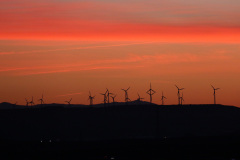 Atardecer_01