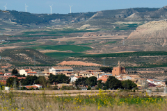 Botorrita_30
